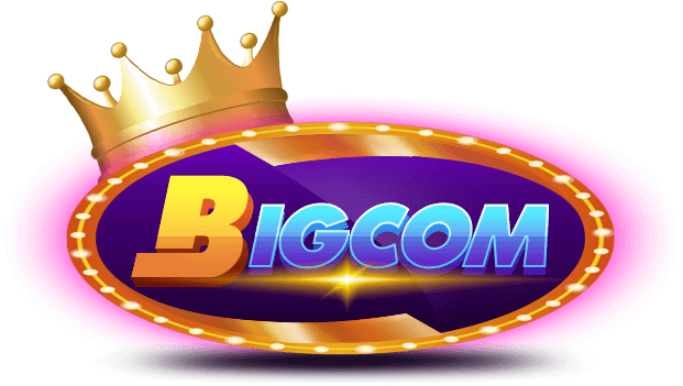 Logo bigcom